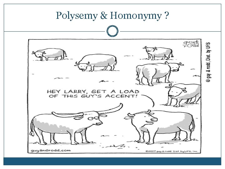 Polysemy & Homonymy ? 