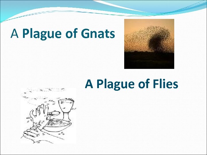 A Plague of Gnats A Plague of Flies 