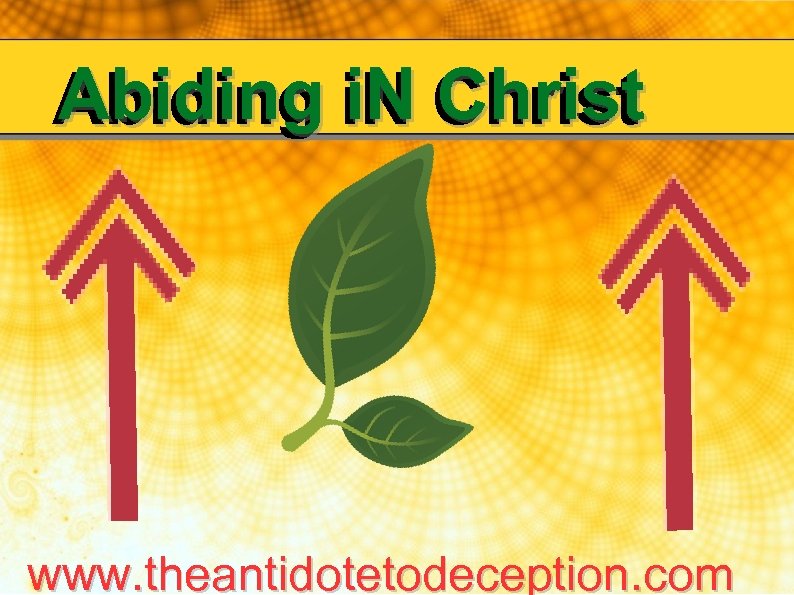 Abiding i. N Christ www. theantidotetodeception. com 