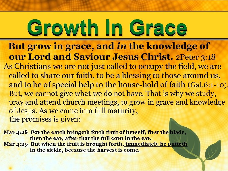 Growth In Grace But grow in grace, and in the knowledge of our Lord