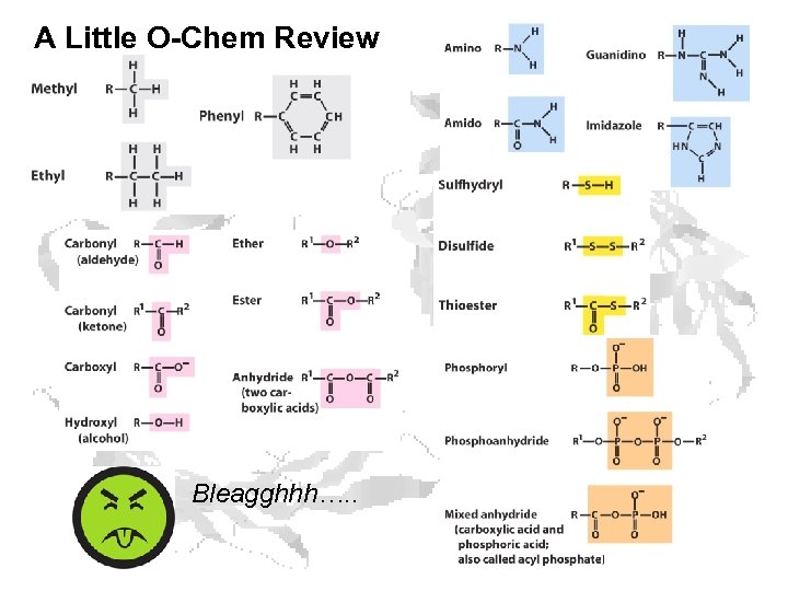 A Little O-Chem Review Bleagghhh…. . 