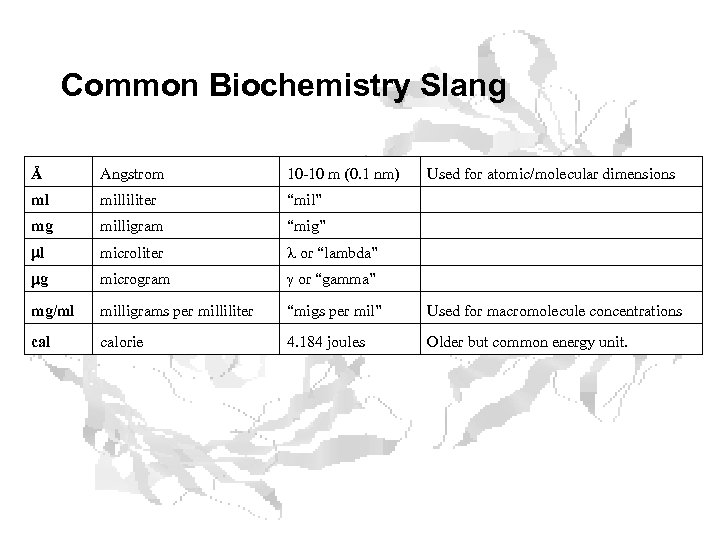 Common Biochemistry Slang Å Angstrom 10 -10 m (0. 1 nm) Used for atomic/molecular