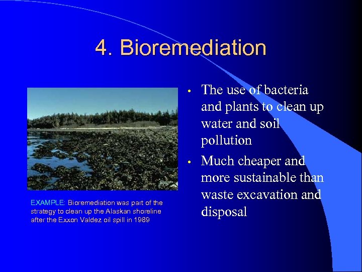 4. Bioremediation • • EXAMPLE: Bioremediation was part of the strategy to clean up