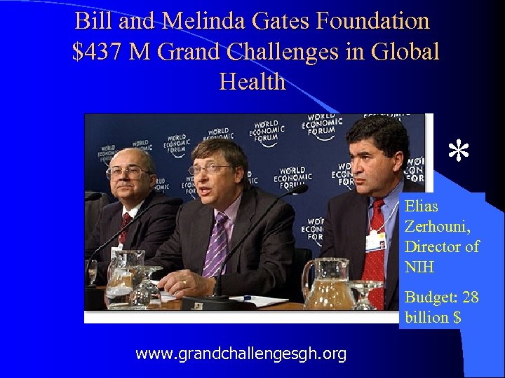 Bill and Melinda Gates Foundation $437 M Grand Challenges in Global Health * Elias