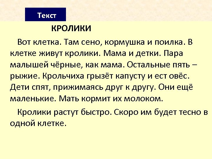 Текст КРОЛИКИ Вот клетка. Там сено, кормушка и поилка. В клетке живут кролики. Мама