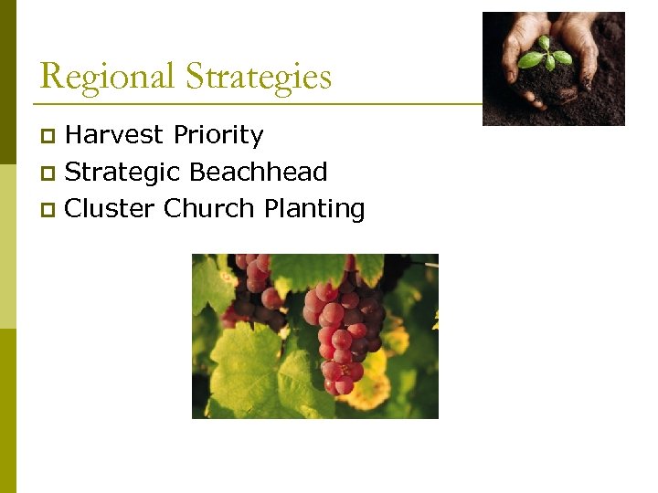 Regional Strategies Harvest Priority p Strategic Beachhead p Cluster Church Planting p 