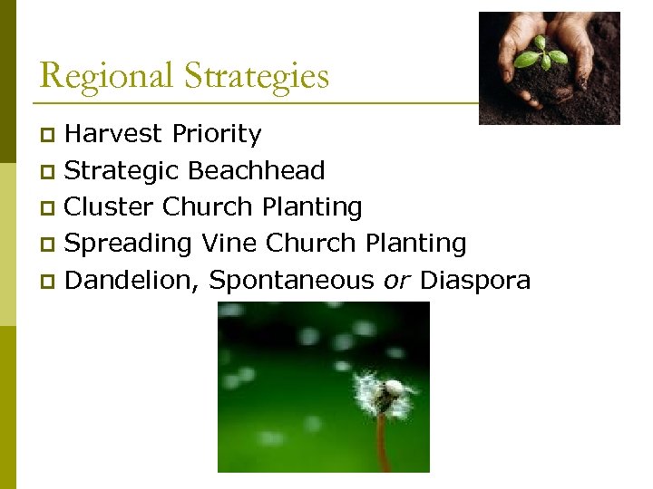 Regional Strategies Harvest Priority p Strategic Beachhead p Cluster Church Planting p Spreading Vine