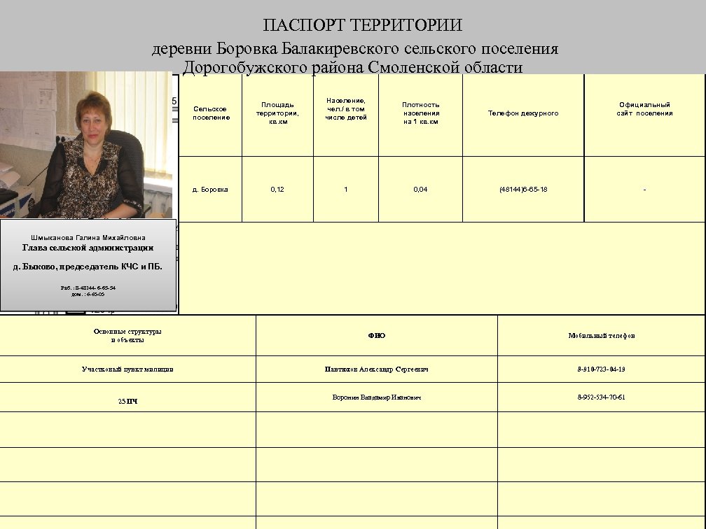 ПАСПОРТ ТЕРРИТОРИИ деревни Боровка Балакиревского сельского поселения Дорогобужского района Смоленской области Сельское поселение Площадь