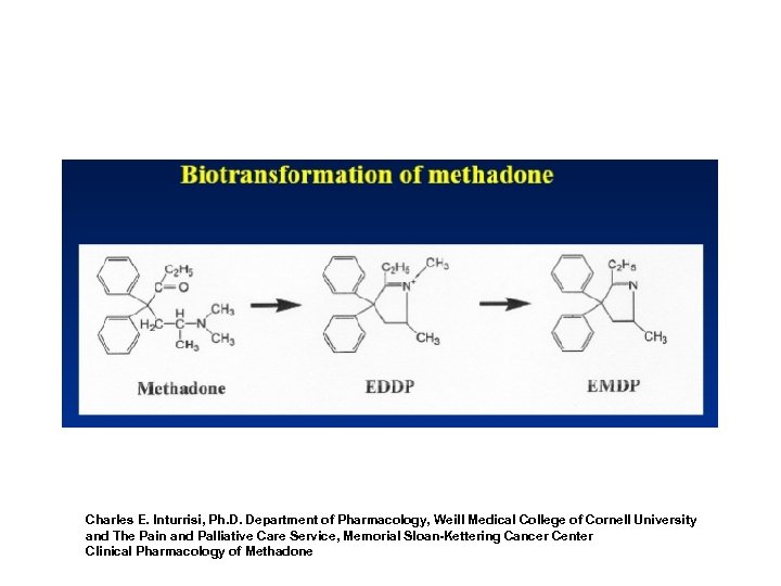 Charles E. Inturrisi, Ph. D. Department of Pharmacology, Weill Medical College of Cornell University