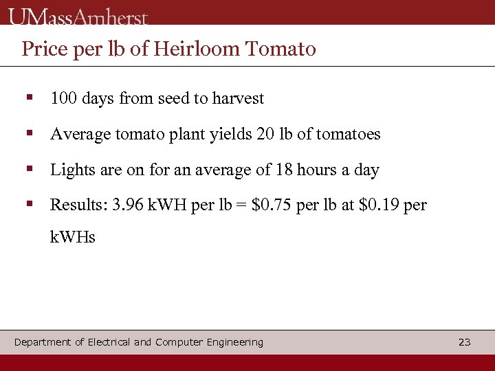 Price per lb of Heirloom Tomato 100 days from seed to harvest Average tomato