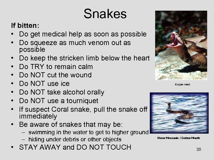 Snakes If bitten: • Do get medical help as soon as possible • Do