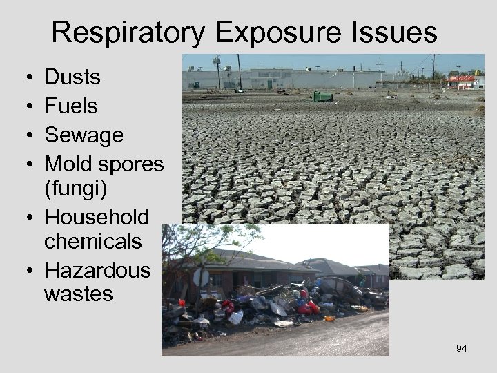 Respiratory Exposure Issues • • Dusts Fuels Sewage Mold spores (fungi) • Household chemicals