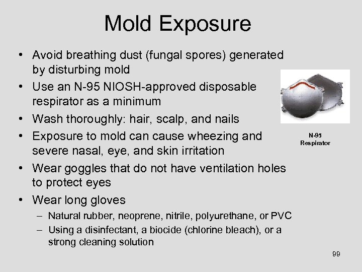 Mold Exposure • Avoid breathing dust (fungal spores) generated by disturbing mold • Use