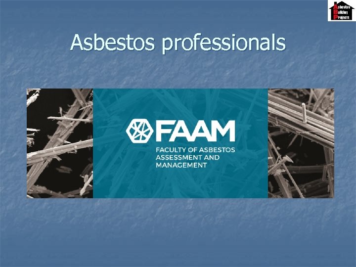 Asbestos professionals 
