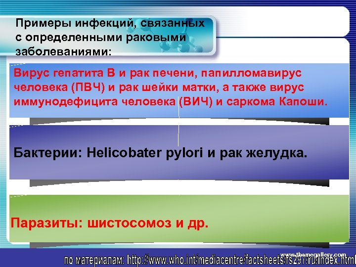 Примеры инфекций, связанных с определенными раковыми заболеваниями: Вирус гепатита В и рак печени, папилломавирус