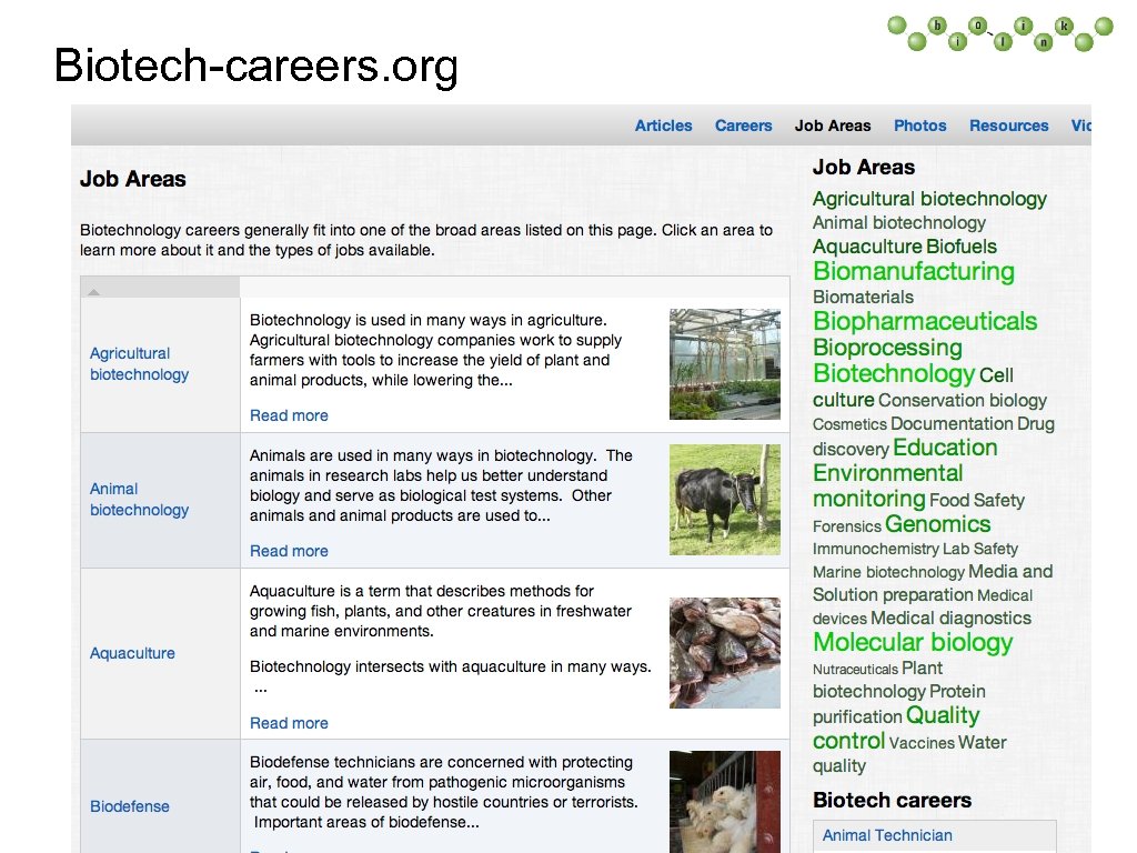 Biotech-careers. org 