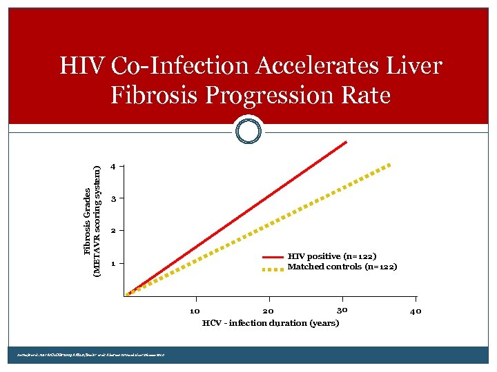 Fibrosis Grades (METAVR scoring system) HIV Co-Infection Accelerates Liver Fibrosis Progression Rate 4 3