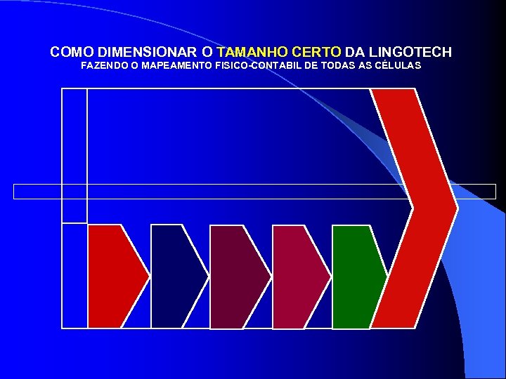 COMO DIMENSIONAR O TAMANHO CERTO DA LINGOTECH FAZENDO O MAPEAMENTO FISICO-CONTABIL DE TODAS AS