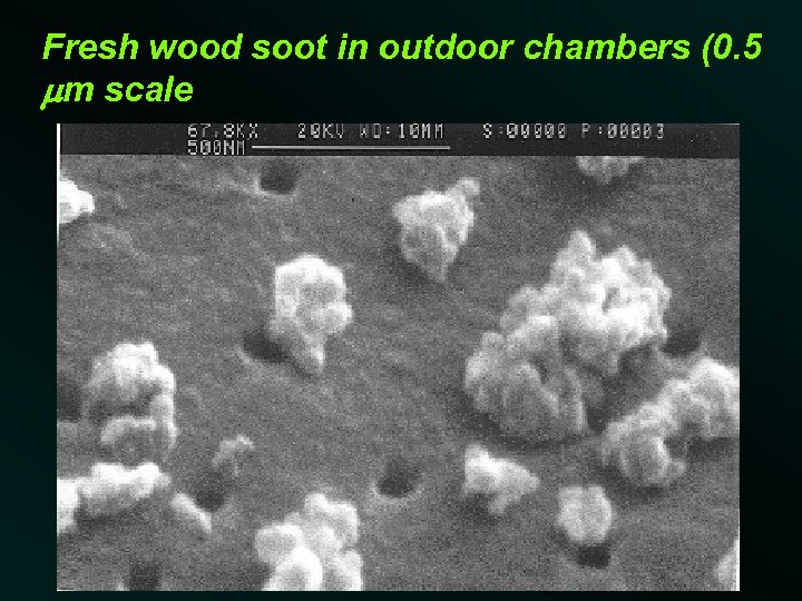 Fresh wood soot in outdoor chambers (0. 5 mm scale 