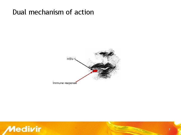 Dual mechanism of action HSV-1 Immune response 7 