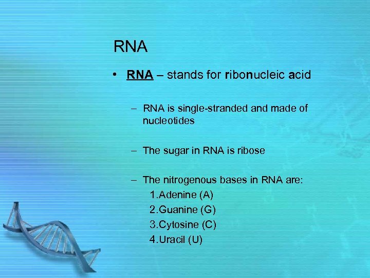 RNA • RNA – stands for ribonucleic acid – RNA is single-stranded and made