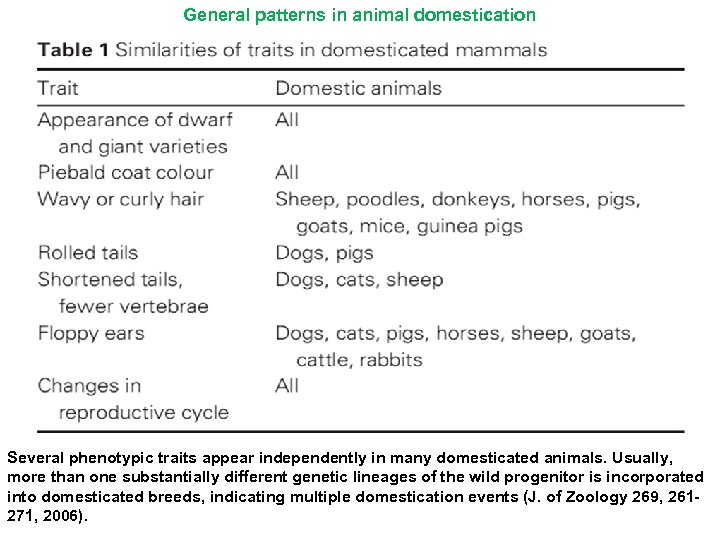 General patterns in animal domestication Several phenotypic traits appear independently in many domesticated animals.