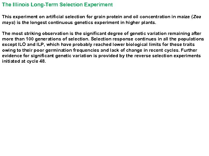 The Illinois Long-Term Selection Experiment This experiment on artificial selection for grain protein and