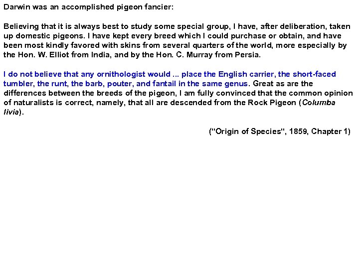 Darwin was an accomplished pigeon fancier: Believing that it is always best to study