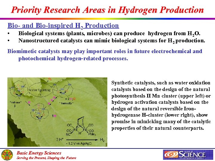 Priority Research Areas in Hydrogen Production Bio- and Bio-inspired H 2 Production • •