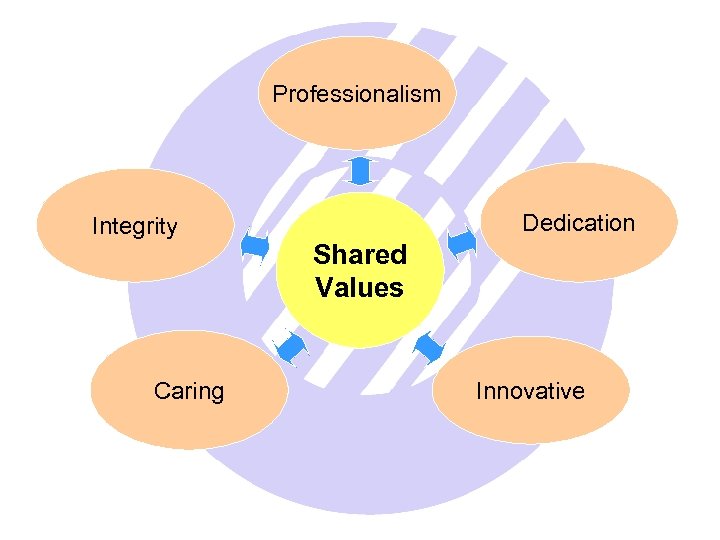 Professionalism Integrity Caring Dedication Shared Values Innovative 