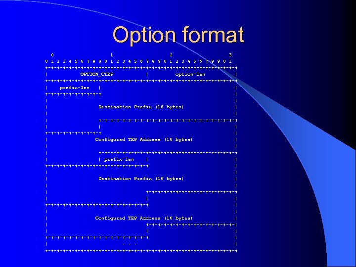 Option format 0 1 2 3 4 5 6 7 8 9 0 1