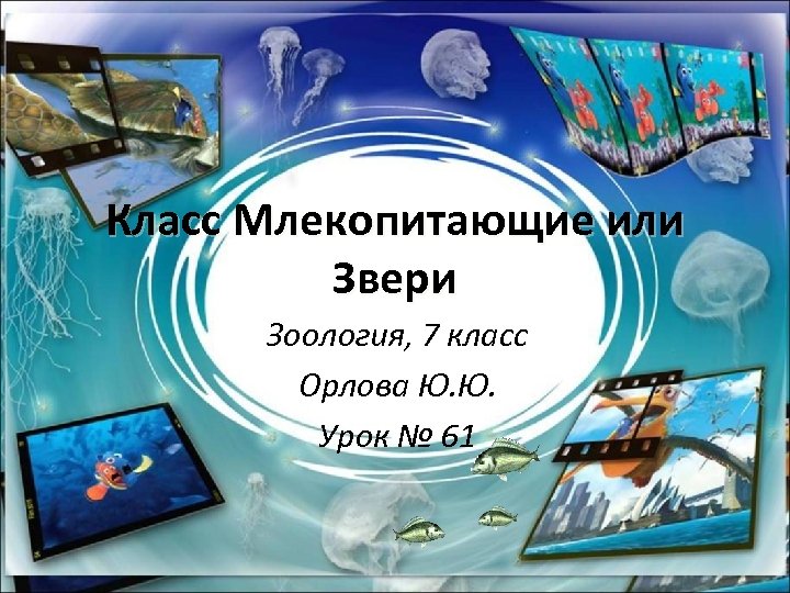 Класс Млекопитающие или Звери Зоология, 7 класс Орлова Ю. Ю. Урок № 61 