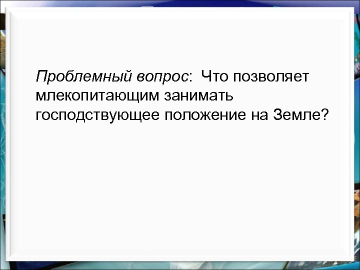 Проблемный вопрос: Что позволяет млекопитающим занимать господствующее положение на Земле? 