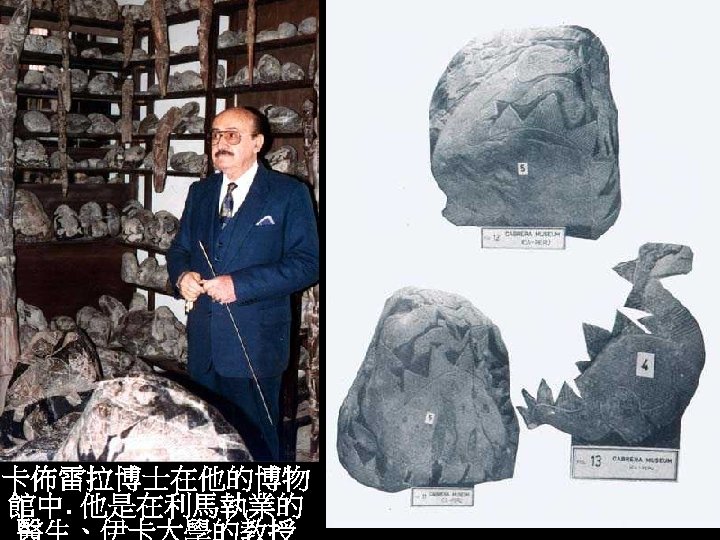卡佈雷拉博士在他的博物 館中. 他是在利馬執業的 