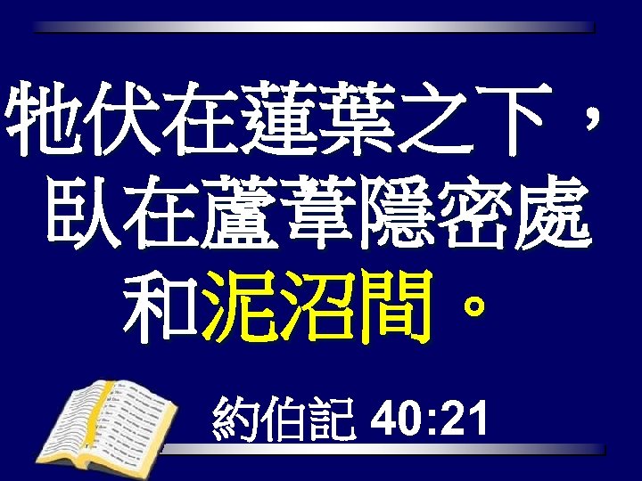牠伏在蓮葉之下， 臥在蘆葦隱密處 和泥沼間。 約伯記 40: 21 