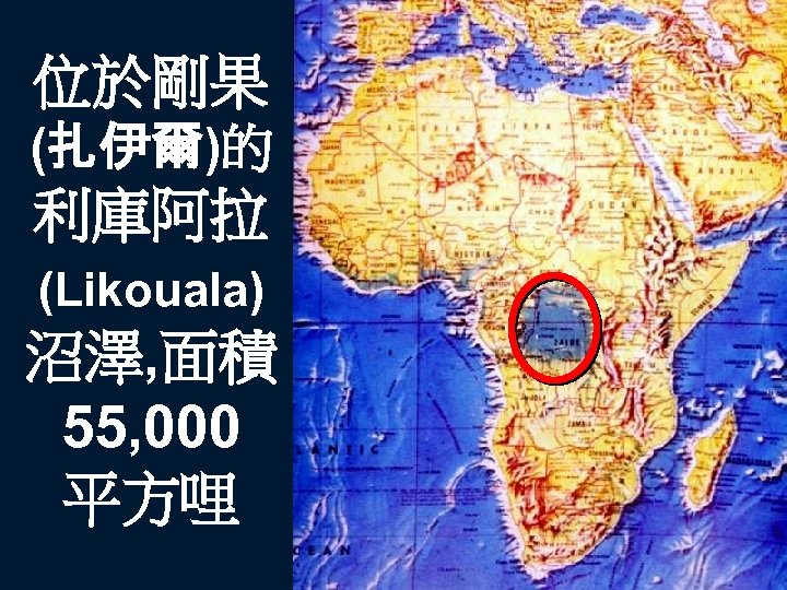 位於剛果 (扎伊爾)的 利庫阿拉 (Likouala) 沼澤, 面積 55, 000 平方哩 
