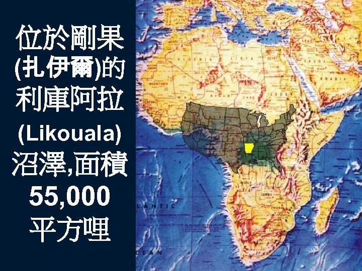 位於剛果 (扎伊爾)的 利庫阿拉 (Likouala) 沼澤, 面積 55, 000 平方哩 