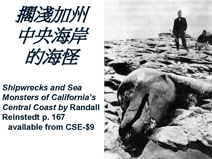 擱淺加州 中央海岸 的海怪 Shipwrecks and Sea Monsters of California’s Central Coast by Randall Reinstedt