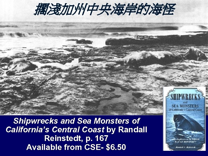 擱淺加州中央海岸的海怪 Shipwrecks and Sea Monsters of California’s Central Coast by Randall Reinstedt, p. 167