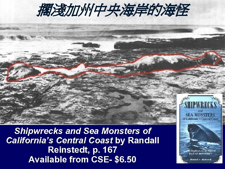 擱淺加州中央海岸的海怪 Shipwrecks and Sea Monsters of California’s Central Coast by Randall Reinstedt, p. 167