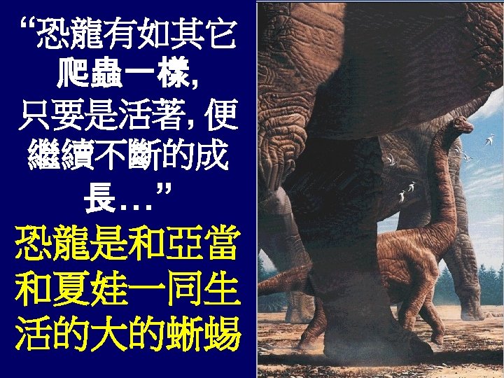 “恐龍有如其它 爬蟲一樣, 只要是活著, 便 繼續不斷的成 長…” 恐龍是和亞當 和夏娃一同生 活的大的蜥蜴 
