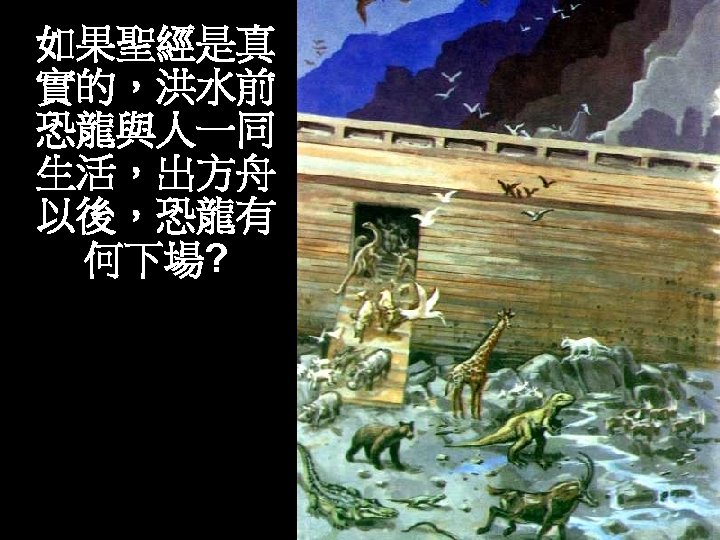 如果聖經是真 實的，洪水前 恐龍與人一同 生活，出方舟 以後，恐龍有 何下場? 