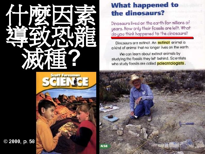 什麼因素 導致恐龍 滅種? © 2000, p. 58 