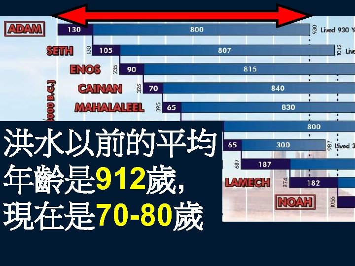 Antediluvian life span chart 洪水以前的平均 年齡是 912歲, 現在是 70 -80歲 