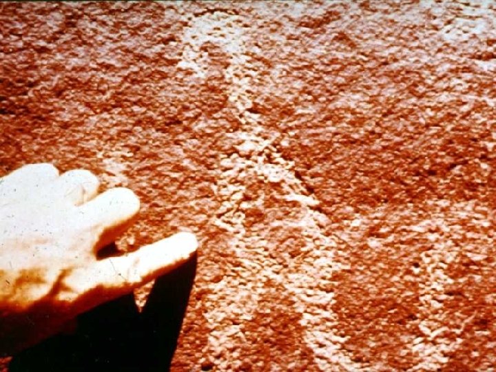 cave sketching of dinosaur (QL 89? ) 