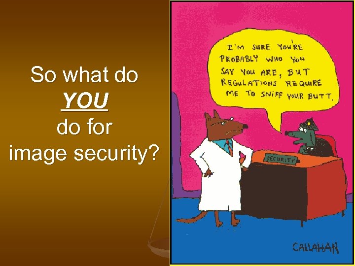 So what do YOU do for image security? 