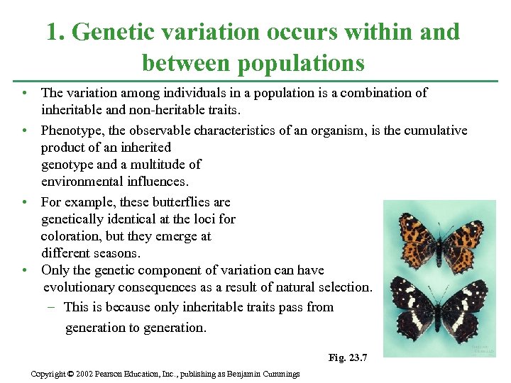 1. Genetic variation occurs within and between populations • The variation among individuals in