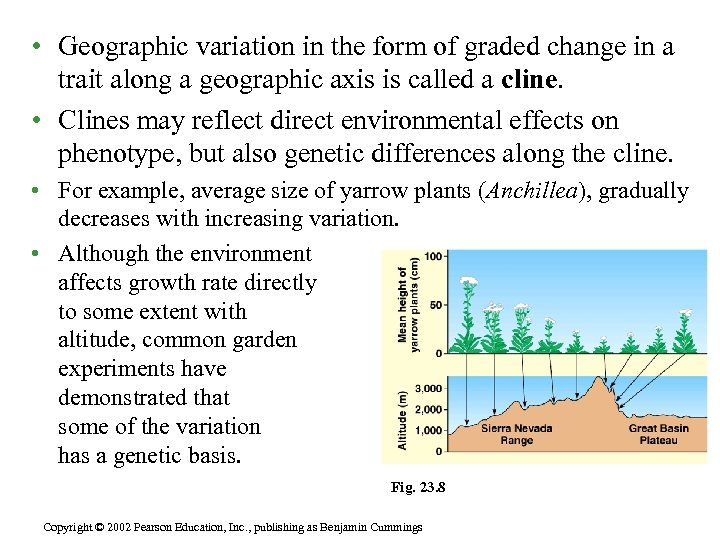  • Geographic variation in the form of graded change in a trait along