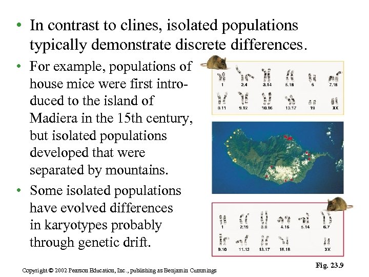  • In contrast to clines, isolated populations typically demonstrate discrete differences. • For