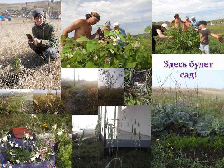 Здесь будет сад! 